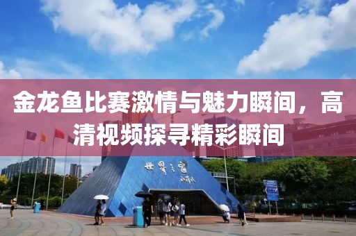 金龙鱼比赛激情与魅力瞬间，高清视频探寻精彩瞬间