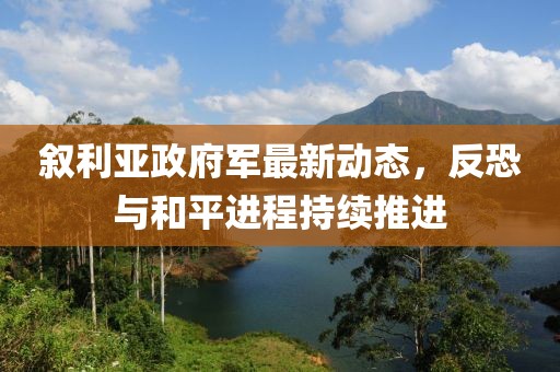 叙利亚政府军最新动态，反恐与和平进程持续推进