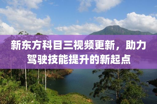 新东方科目三视频更新，助力驾驶技能提升的新起点