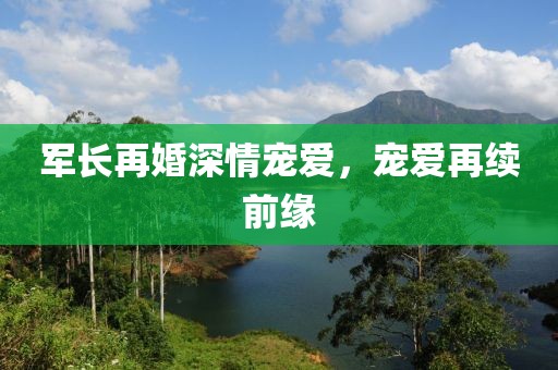 军长再婚深情宠爱，宠爱再续前缘
