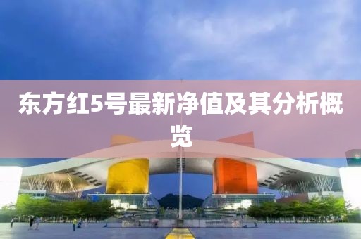 东方红5号最新净值及其分析概览