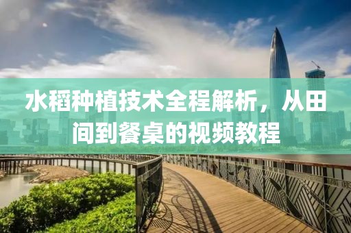 茵沫 第6页