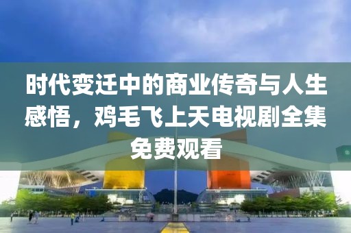 时代变迁中的商业传奇与人生感悟，鸡毛飞上天电视剧全集免费观看