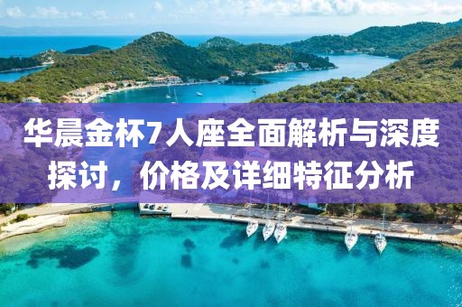 华晨金杯7人座全面解析与深度探讨，价格及详细特征分析