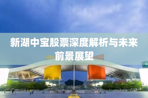 新湖中宝股票深度解析与未来前景展望