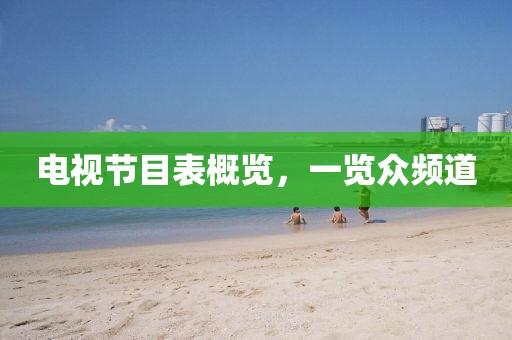 电视节目表概览，一览众频道
