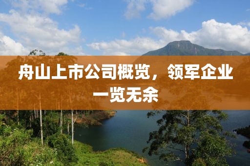 舟山上市公司概览，领军企业一览无余