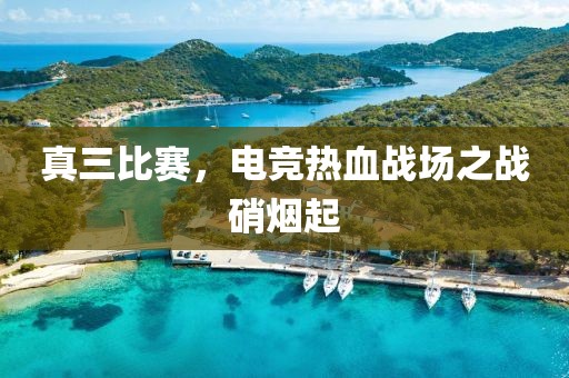 真三比赛，电竞热血战场之战硝烟起