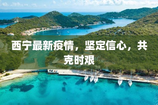 西宁最新疫情，坚定信心，共克时艰