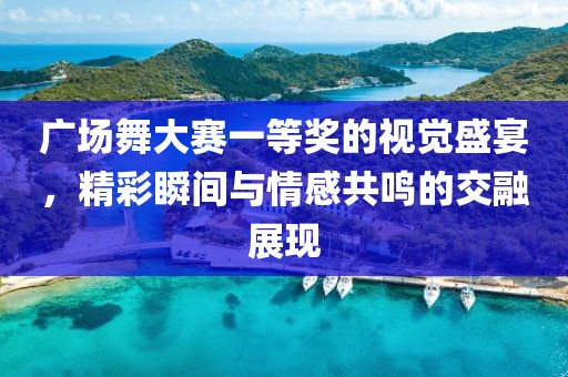 广场舞大赛一等奖的视觉盛宴，精彩瞬间与情感共鸣的交融展现