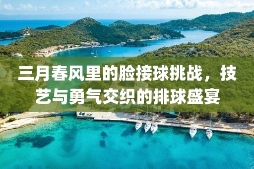 三月春风里的脸接球挑战，技艺与勇气交织的排球盛宴