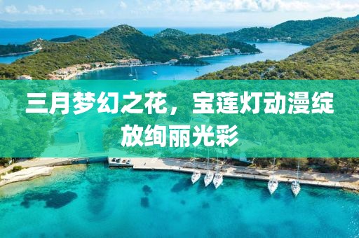 三月梦幻之花，宝莲灯动漫绽放绚丽光彩