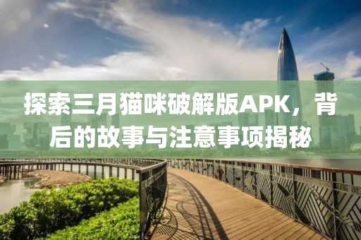 探索三月猫咪破解版APK，背后的故事与注意事项揭秘