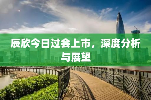 辰欣今日过会上市，深度分析与展望