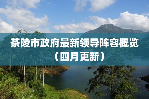 茶陵市政府最新领导阵容概览（四月更新）