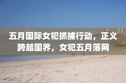 五月国际女犯抓捕行动，正义跨越国界，女犯五月落网