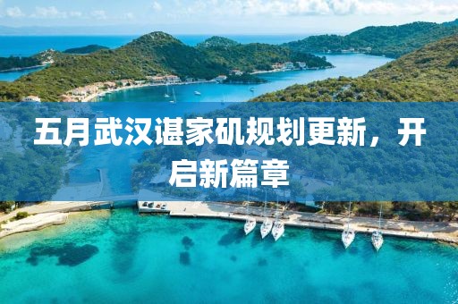 五月武汉谌家矶规划更新，开启新篇章