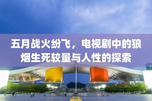 五月战火纷飞，电视剧中的狼烟生死较量与人性的探索