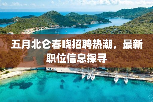 五月北仑春晓招聘热潮，最新职位信息探寻