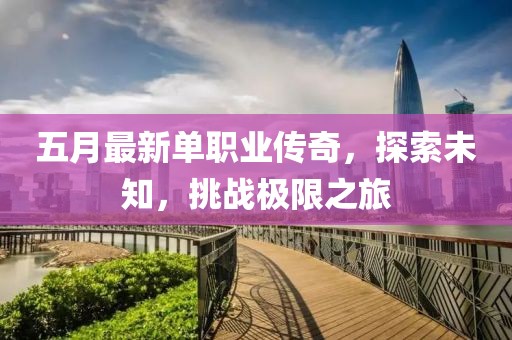 五月最新单职业传奇，探索未知，挑战极限之旅