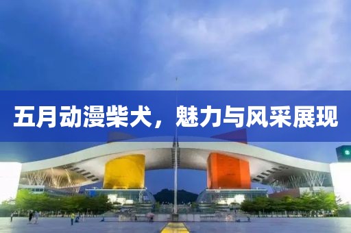 五月动漫柴犬，魅力与风采展现