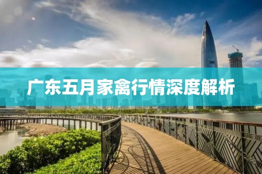 广东五月家禽行情深度解析