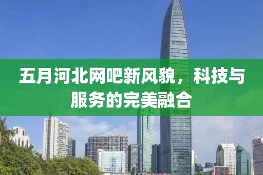 五月河北网吧新风貌，科技与服务的完美融合