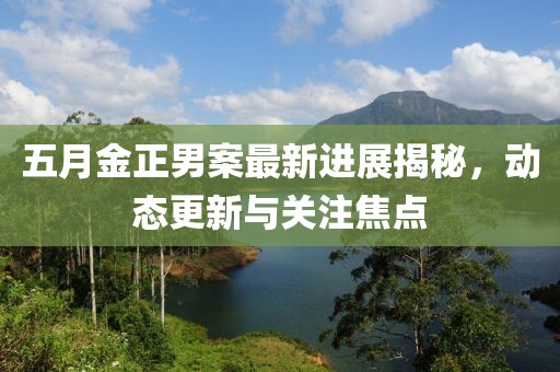 五月金正男案最新进展揭秘，动态更新与关注焦点