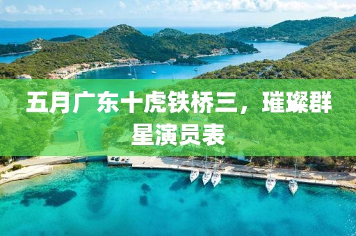 五月广东十虎铁桥三，璀璨群星演员表