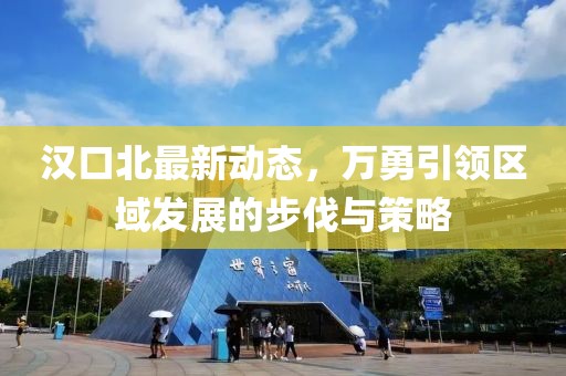 汉口北最新动态，万勇引领区域发展的步伐与策略
