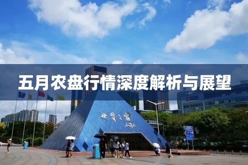 五月农盘行情深度解析与展望