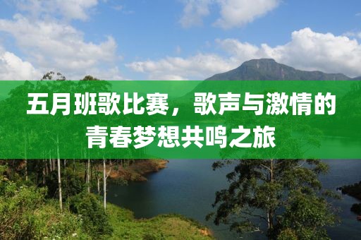 五月班歌比赛，歌声与激情的青春梦想共鸣之旅
