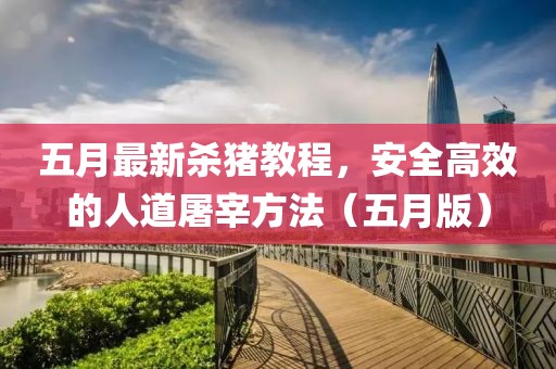 五月最新杀猪教程，安全高效的人道屠宰方法（五月版）