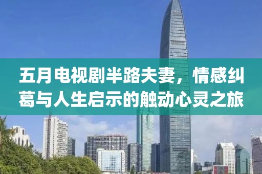 五月电视剧半路夫妻，情感纠葛与人生启示的触动心灵之旅