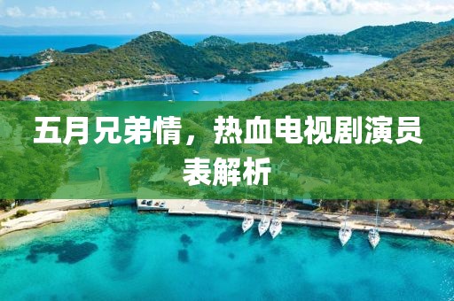 五月兄弟情，热血电视剧演员表解析