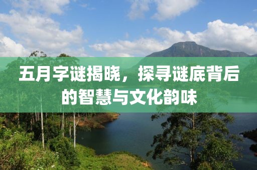 五月字谜揭晓，探寻谜底背后的智慧与文化韵味