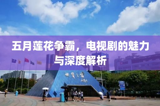 五月莲花争霸，电视剧的魅力与深度解析