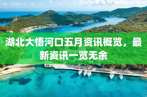 湖北大悟河口五月资讯概览，最新资讯一览无余