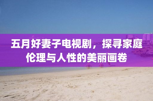 五月好妻子电视剧，探寻家庭伦理与人性的美丽画卷