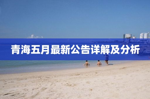 青海五月最新公告详解及分析