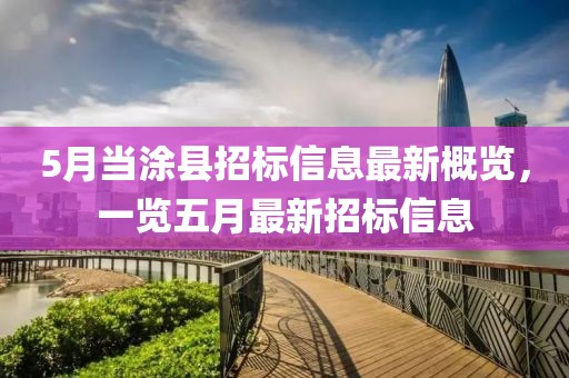 5月当涂县招标信息最新概览，一览五月最新招标信息