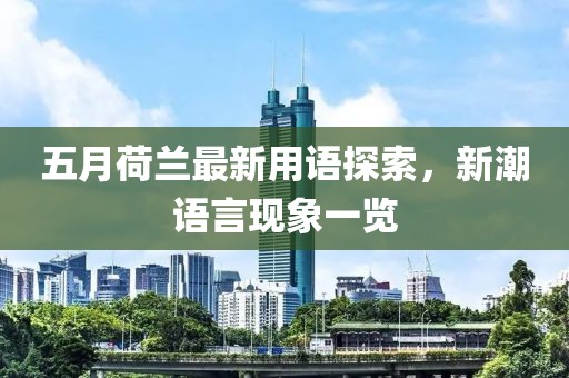 五月荷兰最新用语探索，新潮语言现象一览