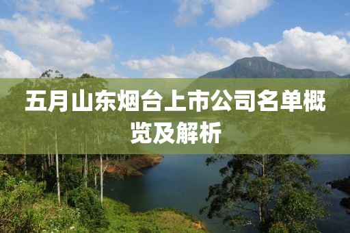 五月山东烟台上市公司名单概览及解析