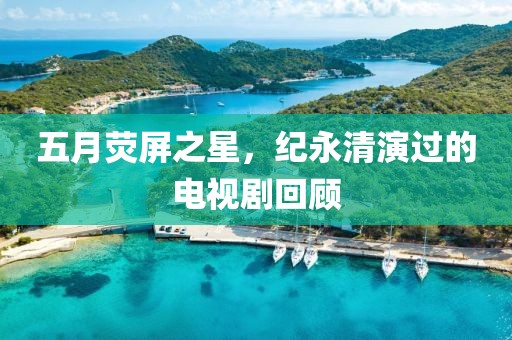 五月荧屏之星，纪永清演过的电视剧回顾