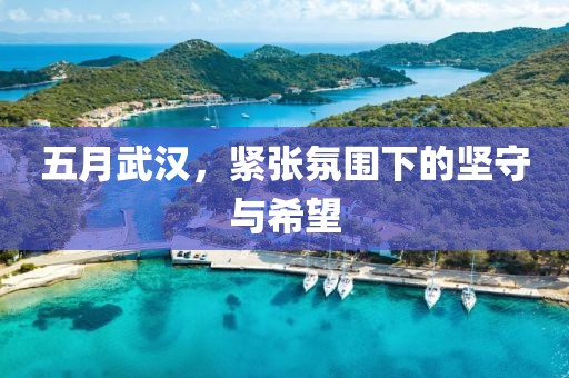 五月武汉，紧张氛围下的坚守与希望