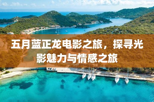 五月蓝正龙电影之旅，探寻光影魅力与情感之旅