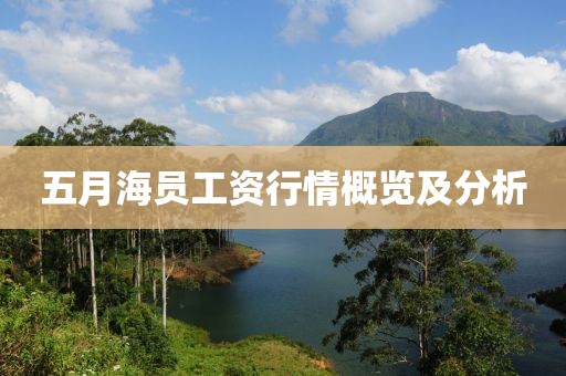 五月海员工资行情概览及分析