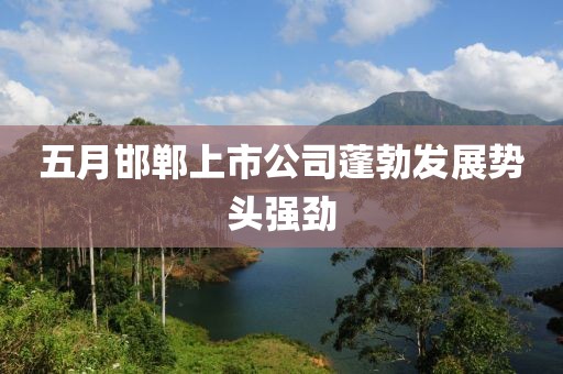 五月邯郸上市公司蓬勃发展势头强劲