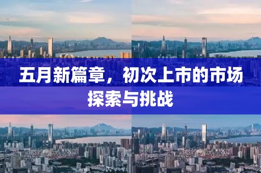 五月新篇章，初次上市的市场探索与挑战
