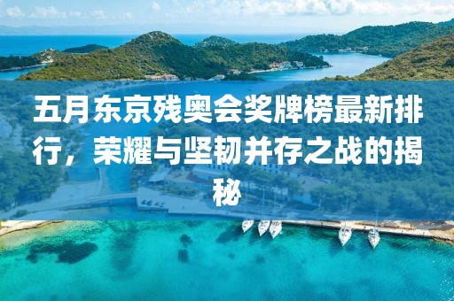 五月东京残奥会奖牌榜最新排行，荣耀与坚韧并存之战的揭秘